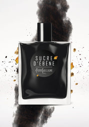 PIERRE GUILLAME - SUCRE D'EBENE